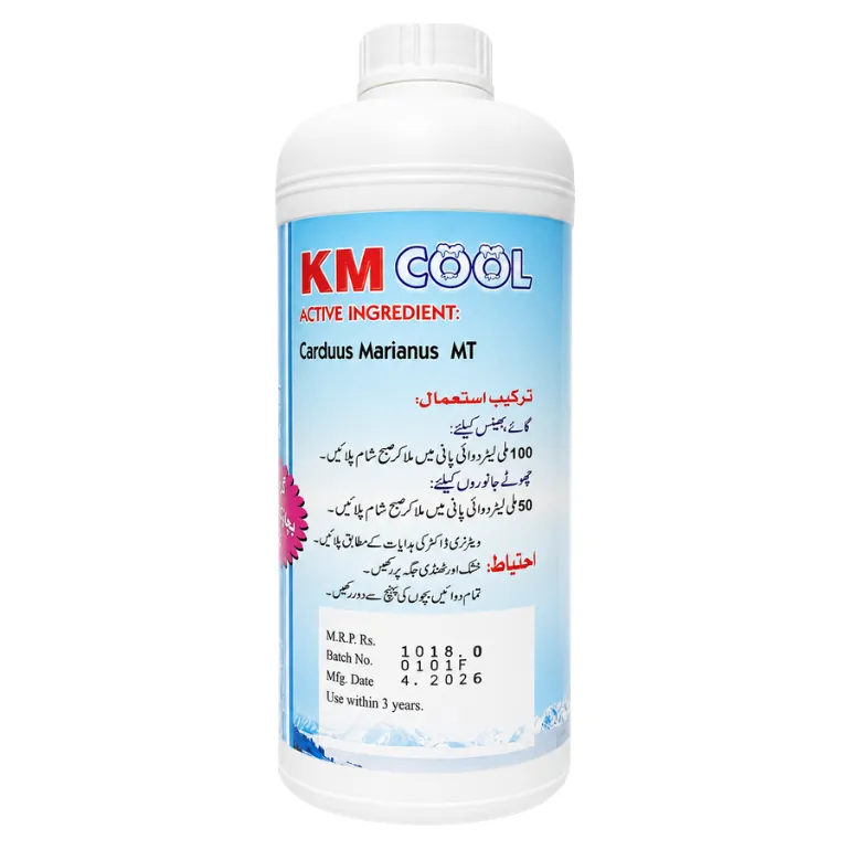 KM Cool — view 2
